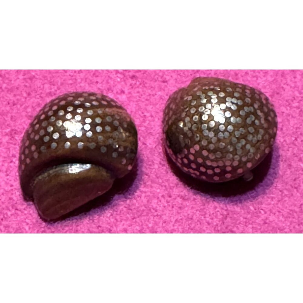 Patricia Von Musulin Vintage Clip-On Earrings Lignum Vitae Wood Sterling Silver